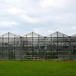 Feriehus 5 Persons Tulpenacker Comfort Roelofarendsveen