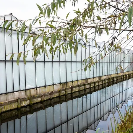 5 Persons Comfort Ferienhaus *