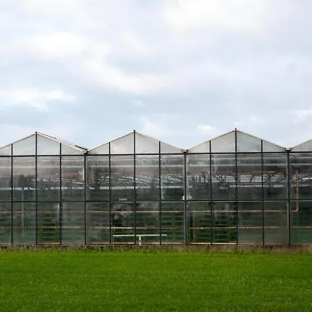 Feriehus 5 Persons Tulpenacker Comfort Roelofarendsveen