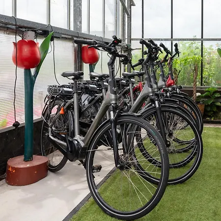 5 Persons Tulpenacker Comfort Feriehus Roelofarendsveen