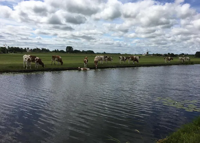 5 Persons Tulpenacker Comfort Ferienhaus *
