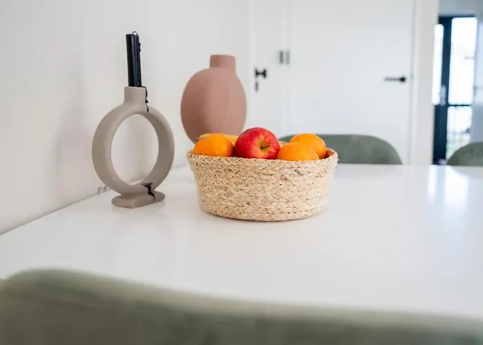 Ferienhaus 5 Persons Tulpenacker Comfort Roelofarendsveen