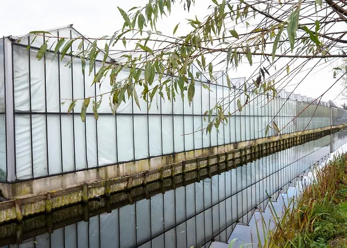 5 Persons Tulpenacker Comfort Дом отдыха *