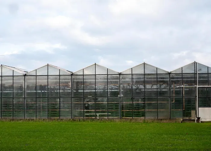 Hébergement de vacances 5 Persons Tulpenacker Comfort Roelofarendsveen